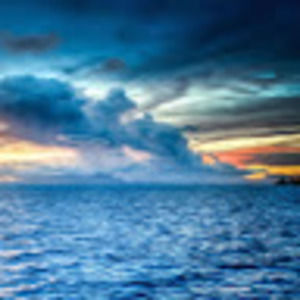 Meet your Posher, Maya